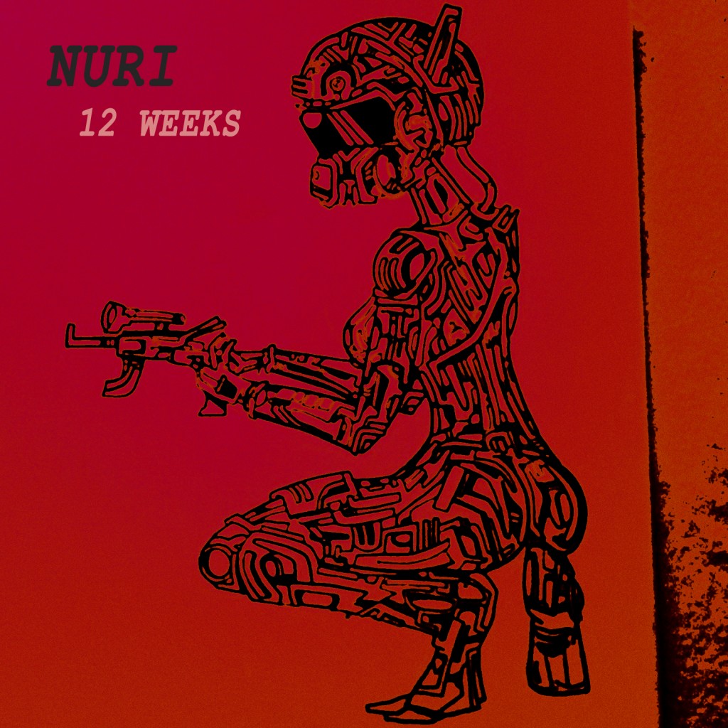 12 weeks covernew